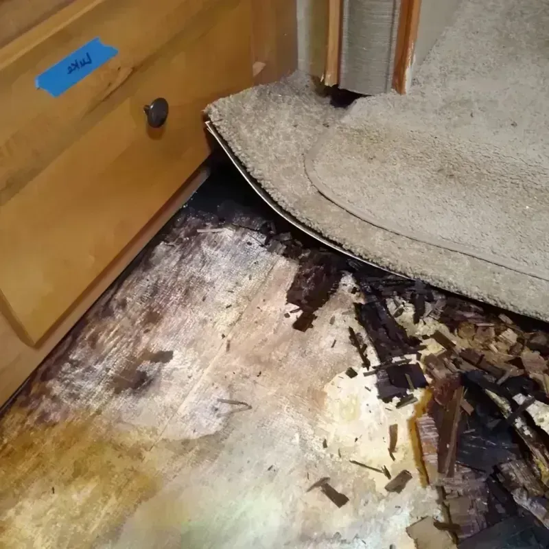 Best Wood Floor Water Damage Service in Sutton-Alpine, AK